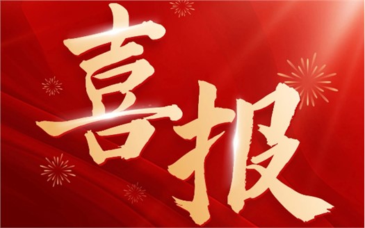 集團榮膺2025中國民營企業(yè)500強第249位，制造業(yè)民營企業(yè)500強第177位，排名較去年雙雙大幅提升
